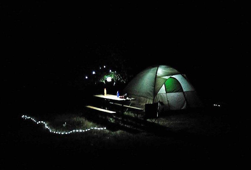 True Bliss #FridayFictioneers