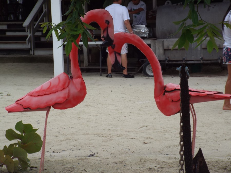 The Proposal #SundayPhoto&nbsp;Fiction