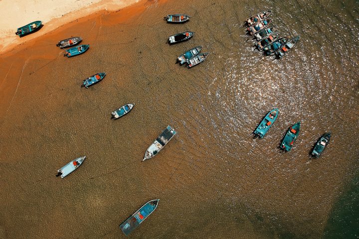 Love of a lifetime #TellTaleThursday