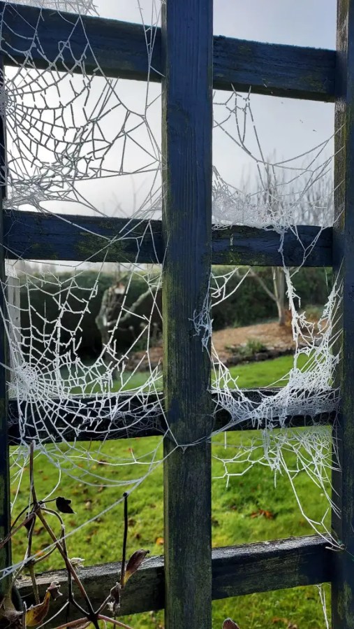 Lets start again #FridayFictioneers